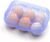 YOHA Clear Egg Storage Box Delicate 6 Girds Egg Dispenser Holder Case Refrigerator Crisper Camping Picnic Travel Portable Egg Carriage,Blue-6